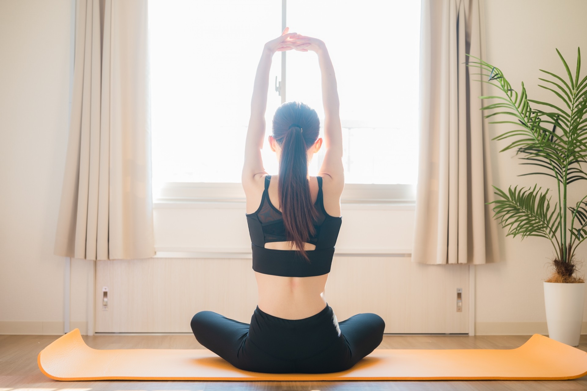 【まとめ】しなやかでブレない体をピラティスで手に入れる